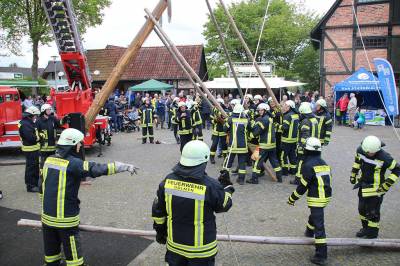 Maibaumaufstellung 2019 - 