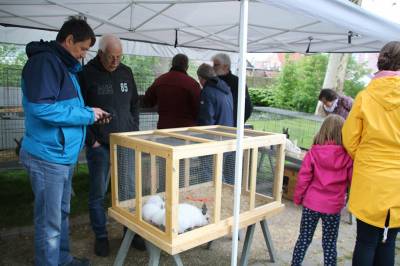 Maibaumaufstellung 2019 - 